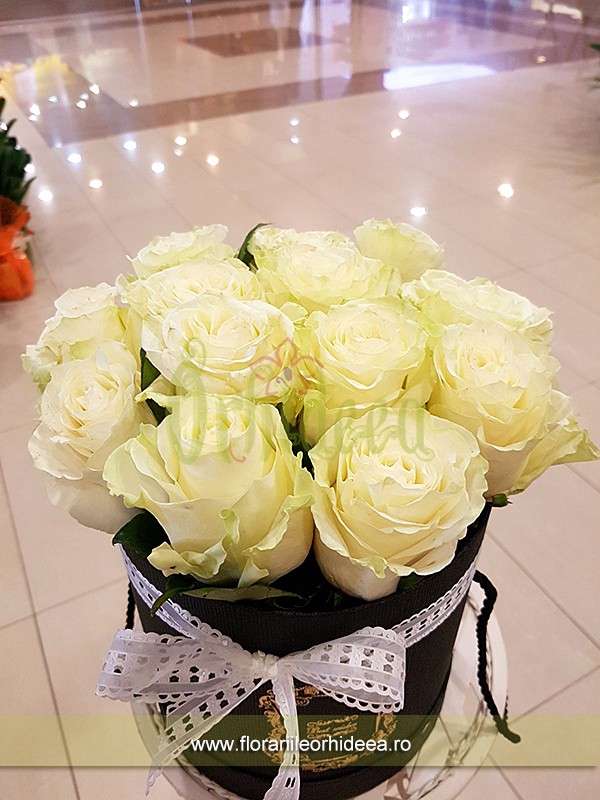 Trandafiri albi florarie in Vaslui