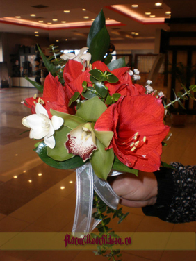 Buchet de nasa din amaryllis rosu, frezii albe si orhidee phalaenopsis verde