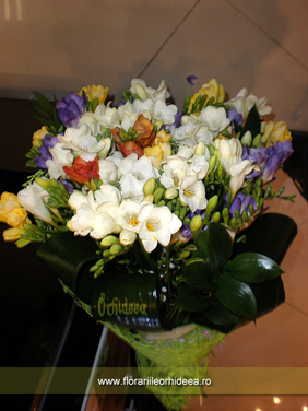 Buchet aniversar 61 de frezii multicolore
