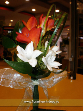 Flori de piept - frezie portocalie