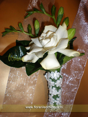 Flori de piept - gardenia alba